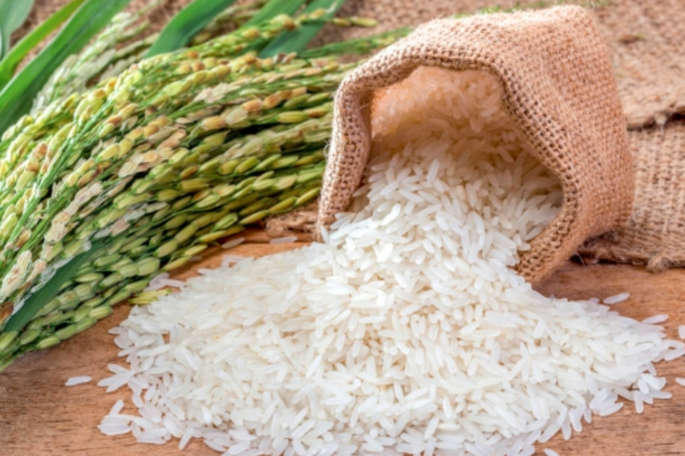 Lúa gạo hữu cơ không sử dụng chất bảo quản nên để lâu dễ bị hư hỏng