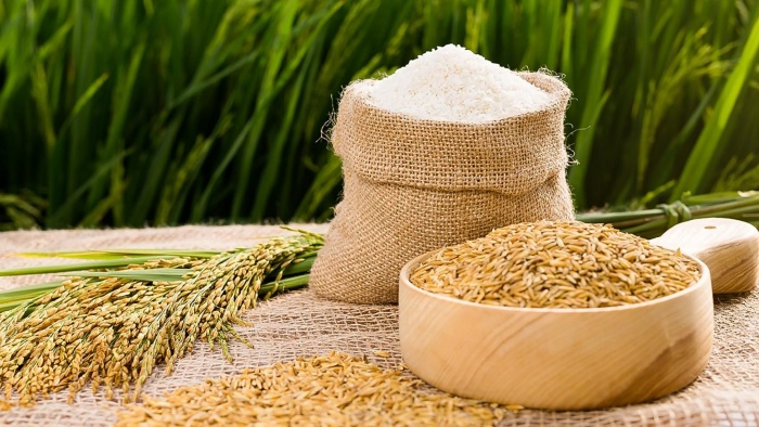 Giá lúa gạo hôm nay 30/8 tăng nhẹ 