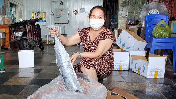 Nghệ An: Tôm, mực, cá trữ tại kho đông lạnh tới hàng nghìn tấn, không tiêu thụ được 