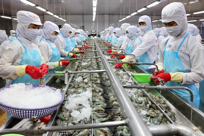 Doanh nghiệp thủy sản ‘chạm ngưỡng giới hạn’, đề xuất tiêm vaccine gấp cho công nhân 