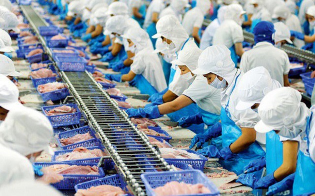 Qua kết luận sơ bộ, hiện Việt Nam đang có khoảng 10 doanh nghiệp xuất khẩu cá tra, cá basa sang Mỹ không bị áp thuế chống bán phá giá