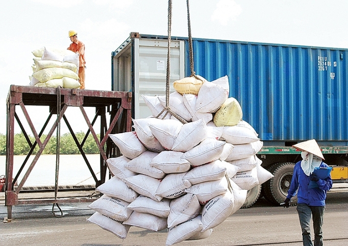 Theo Bộ NN&PTNT, mặc dù giá gạo trong nước tăng nhưng sản lượng xuất khẩu giảm mạnh