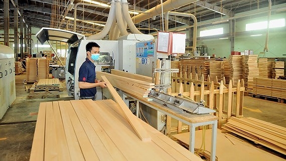 Xuất khẩu gỗ  và sản phẩm gỗ giảm trong tháng 7 và nửa đầu tháng 8